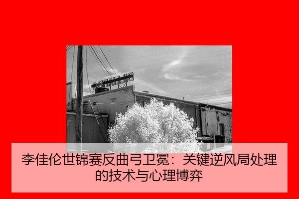 li-jia-lun-shi-jin-sai-fan-qu-gong-wei-mian-guan-jian-ni-feng-ju-chu-li-de-ji-shu-yu-xin-li-bo-yi-3-877.jpg