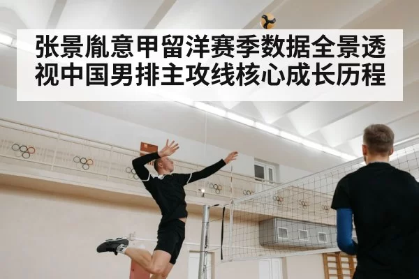 张景胤意甲留洋赛季数据全景透视中国男排主攻线核心成长历程